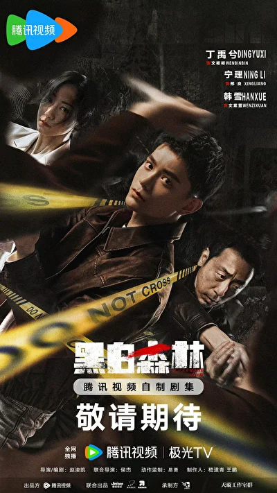 Постер к сериалу Черно-белый лес (2024)